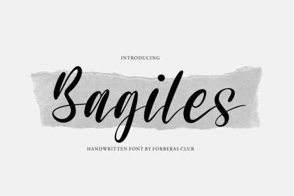 Bagiles Script Font Review: Elevating Campaign Visuals