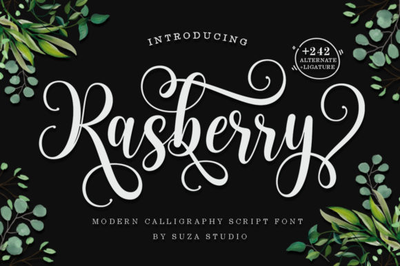 Rasberry Font: A Beautiful Typeface for Digital Designers