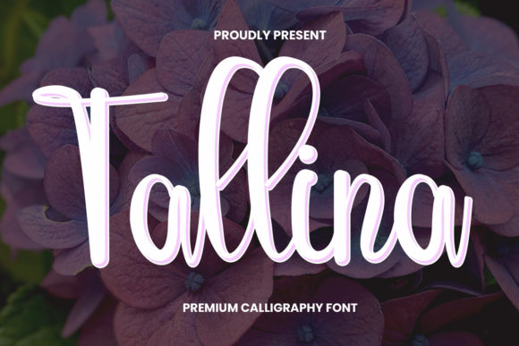 Tallina: A Handwritten Typeface for Modern Web Design