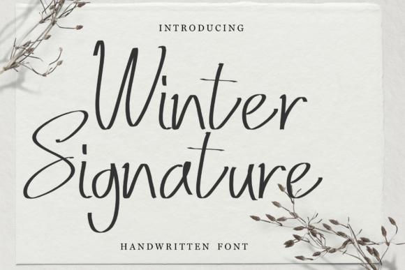 Winter Signature Typeface Review for Campaign Design